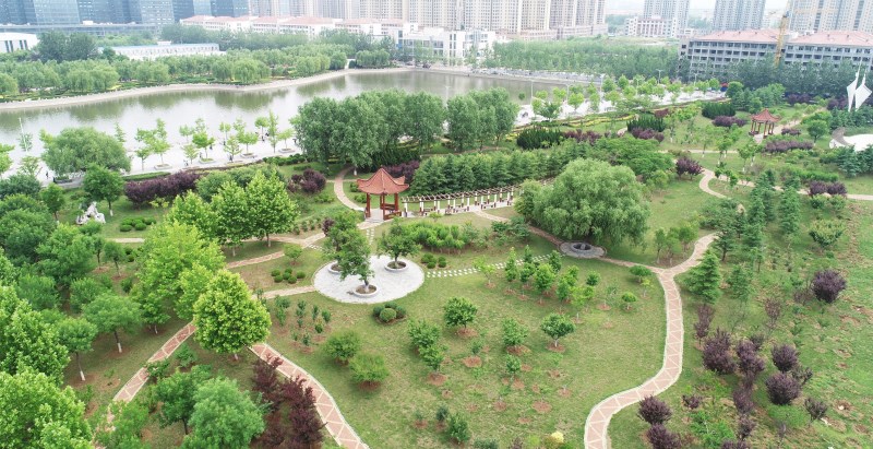 校园风景2018_副本.jpg